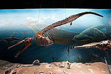 电影电视区空了！微软下架Xbox与Windows平台影视内容